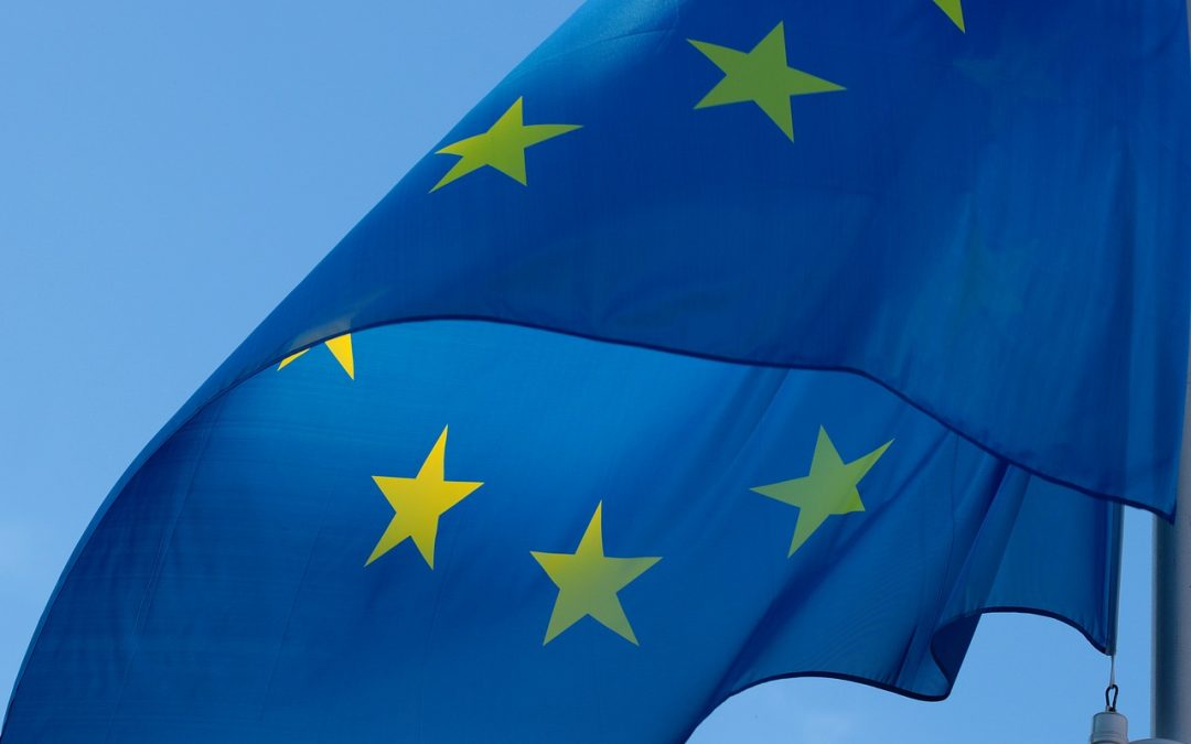 CAMPANYA EUROPEA “SEGURETAT I SALUT EN EMPRESES DE TREBALL TEMPORAL (ETT)”